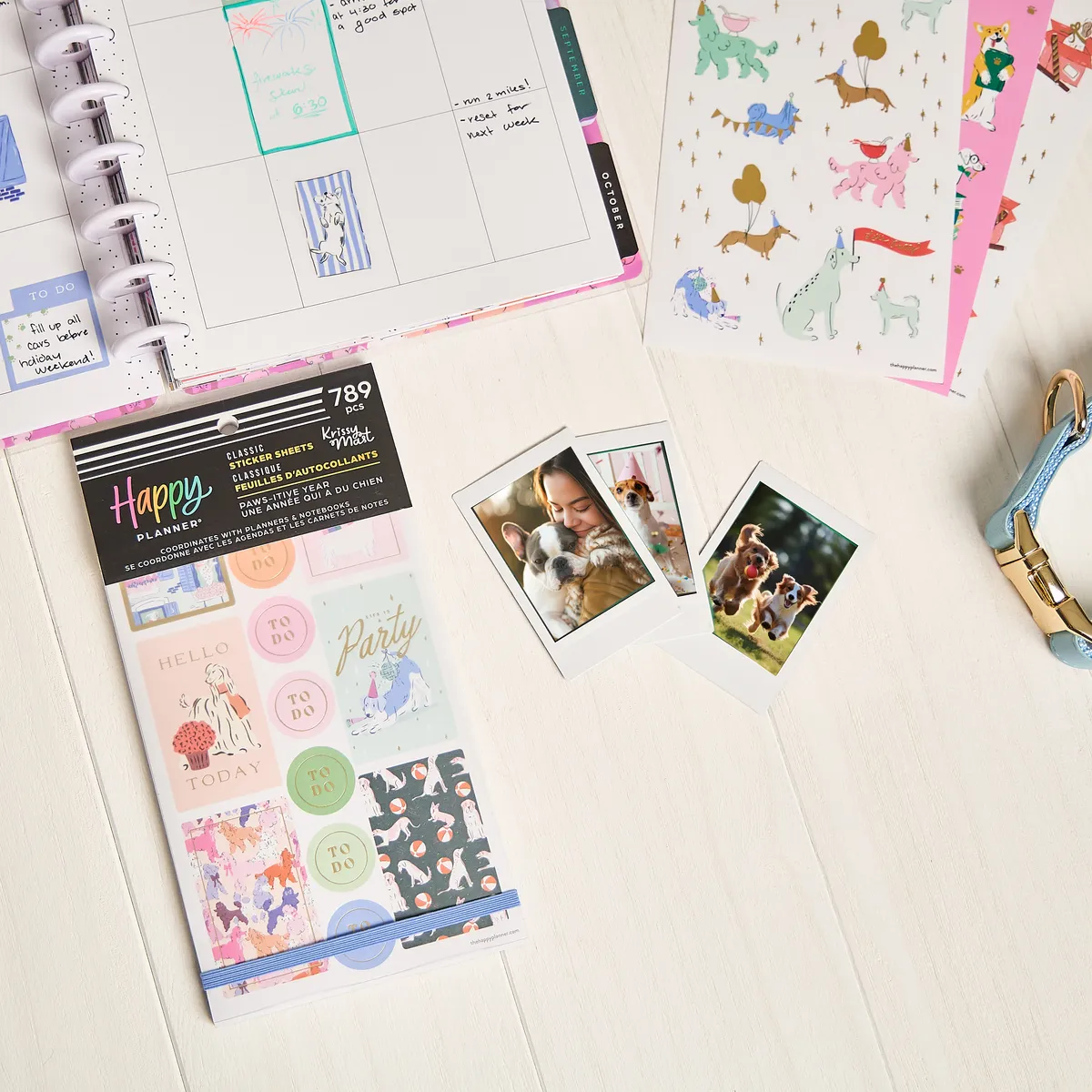 Happy Planner Pawsitive Dogs stickers 30 feuilles chiens