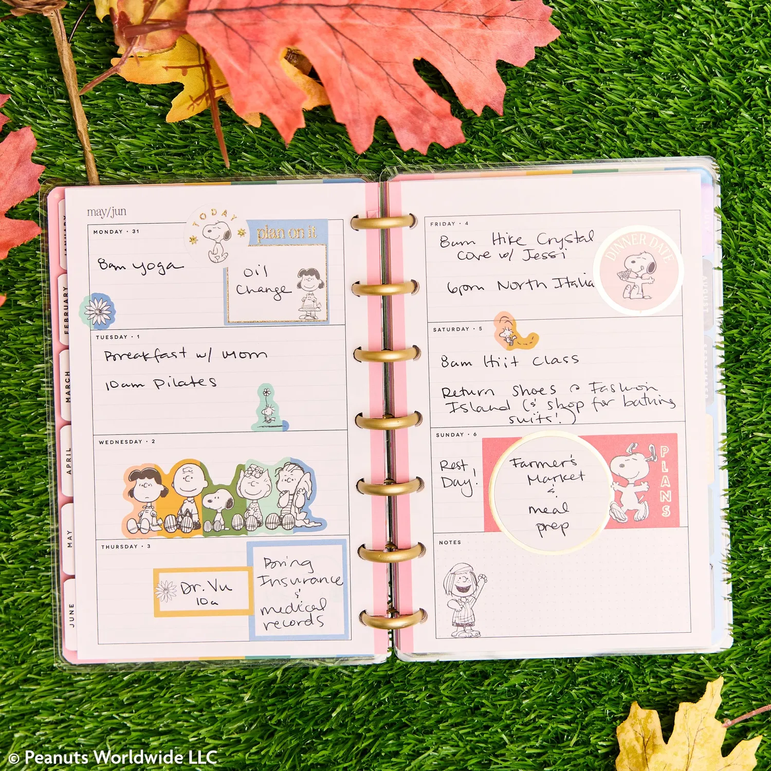 Happy Planner Peanuts agenda 2027 Mini horizontal 12 mois