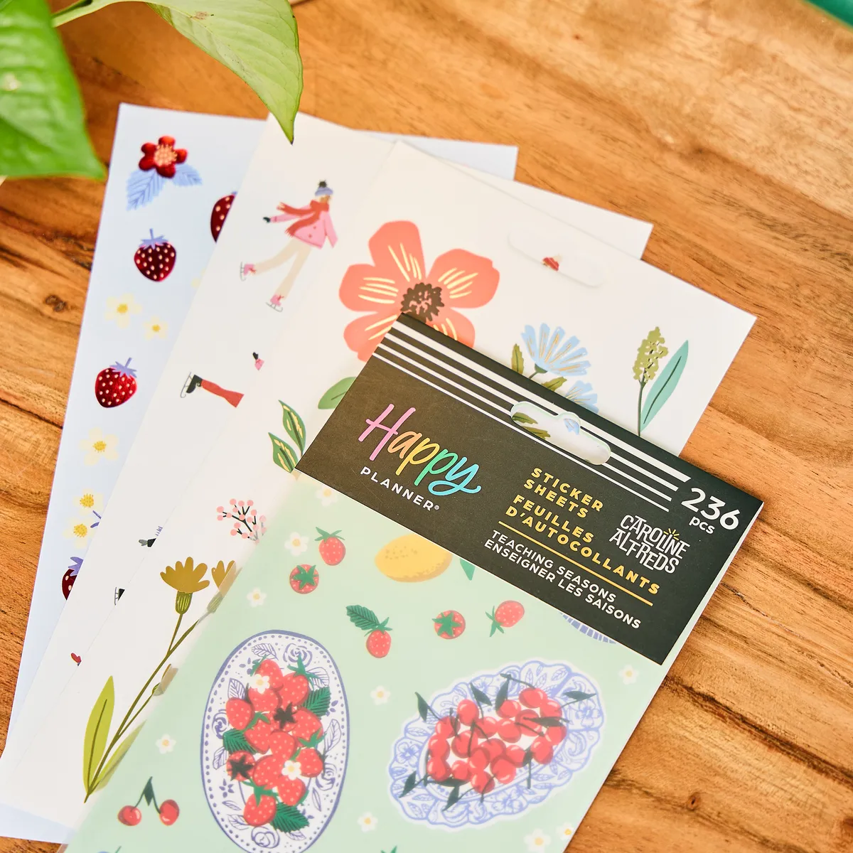 Happy Planner Teaching Seasons stickers 10 feuilles 236