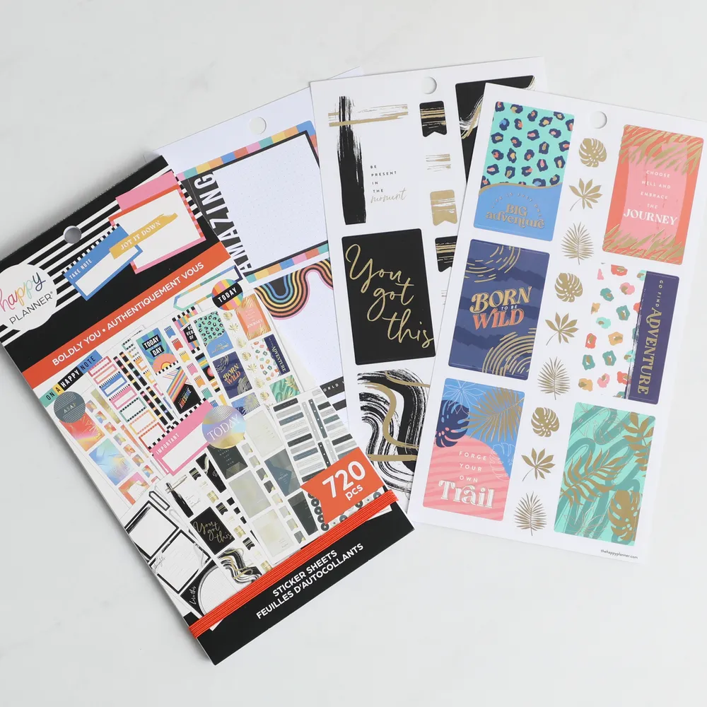 Happy Planner Boldly You stickers Classic 720 motivation