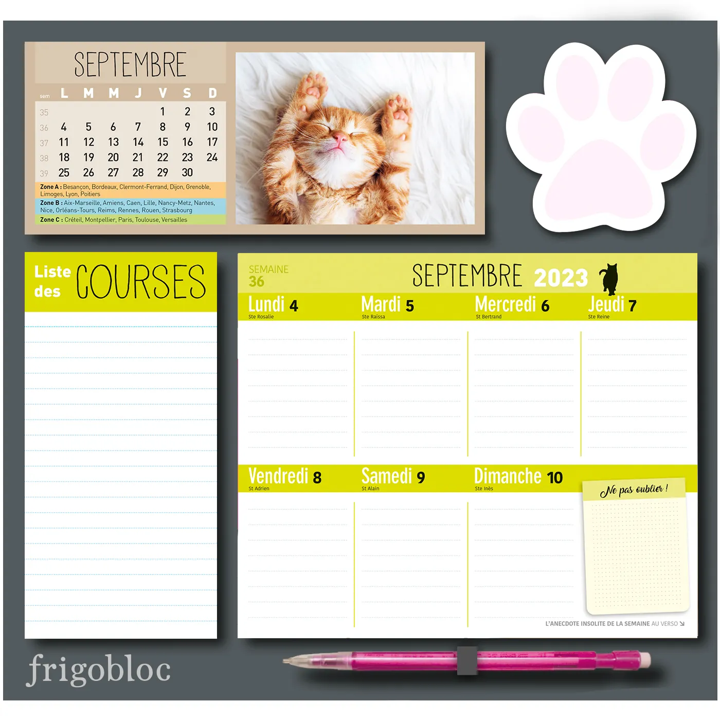 Frigobloc Hebdomadaire 2024 Chats calendrier familial aimanté 16 mois
