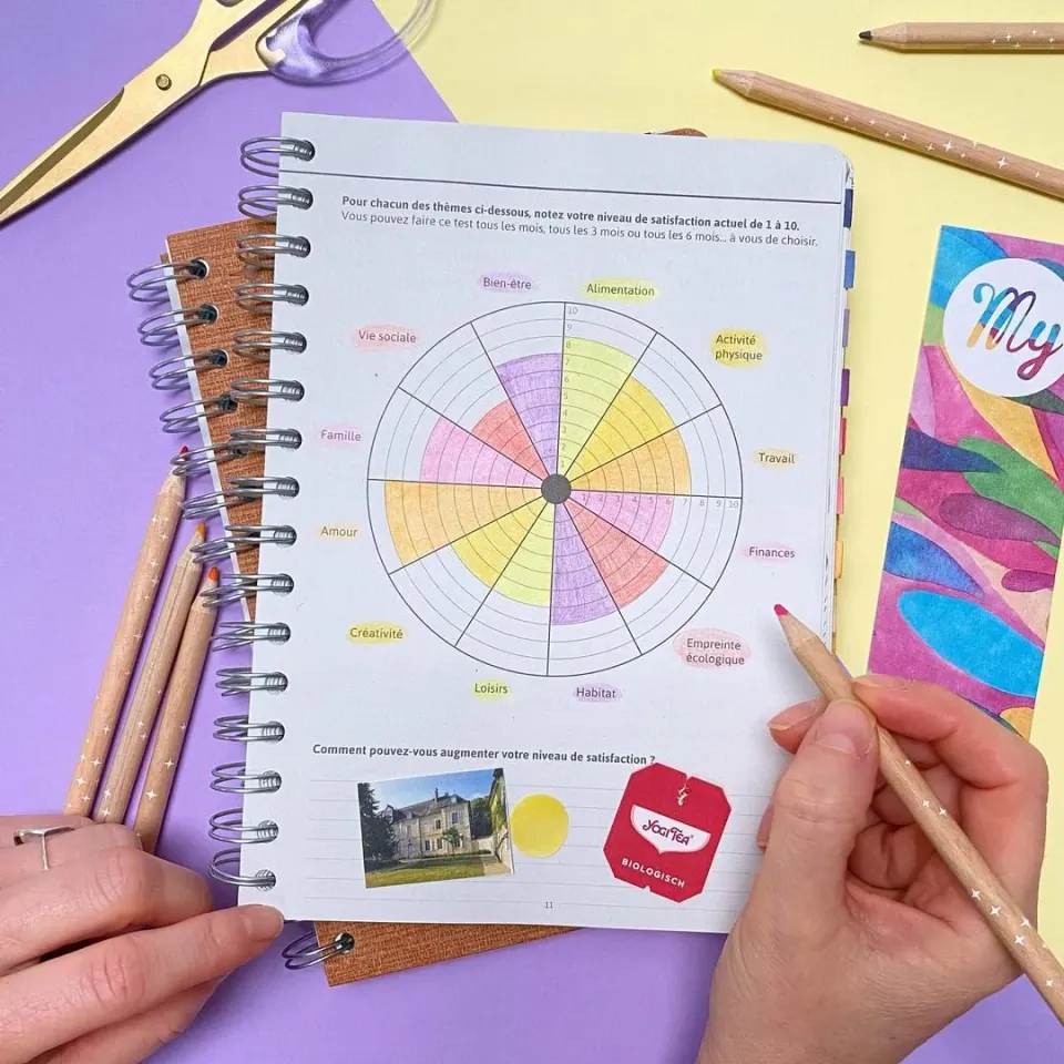My365 Mon Bilan Roue de la satisfaction printable PDF A4 A5