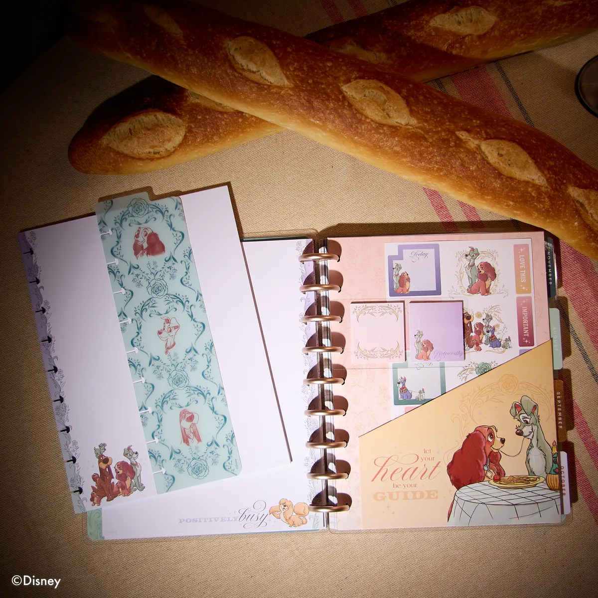 Happy Planner La Belle et Clochard pack accessoires Classic