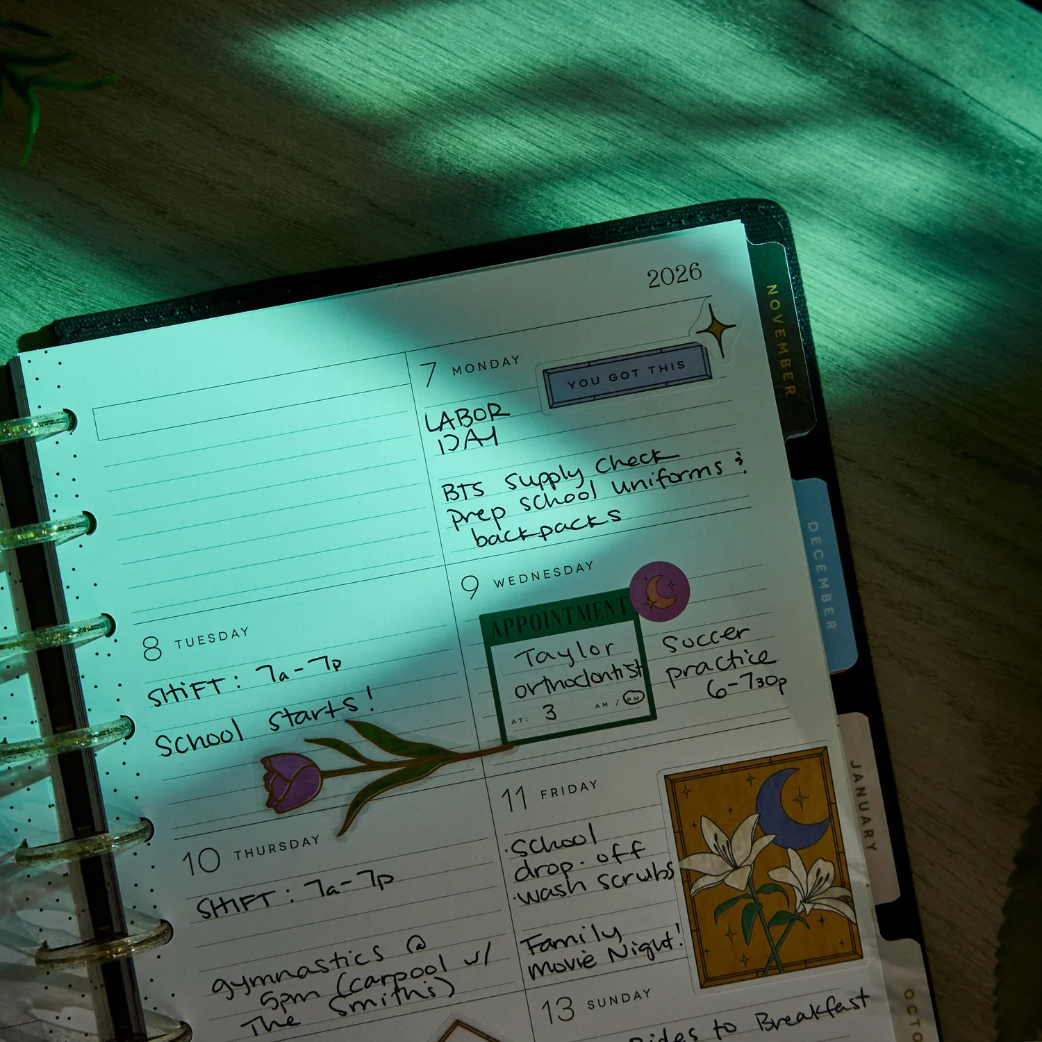 Happy Planner Tinted Mosaic agenda Classic dashboard 12 mois