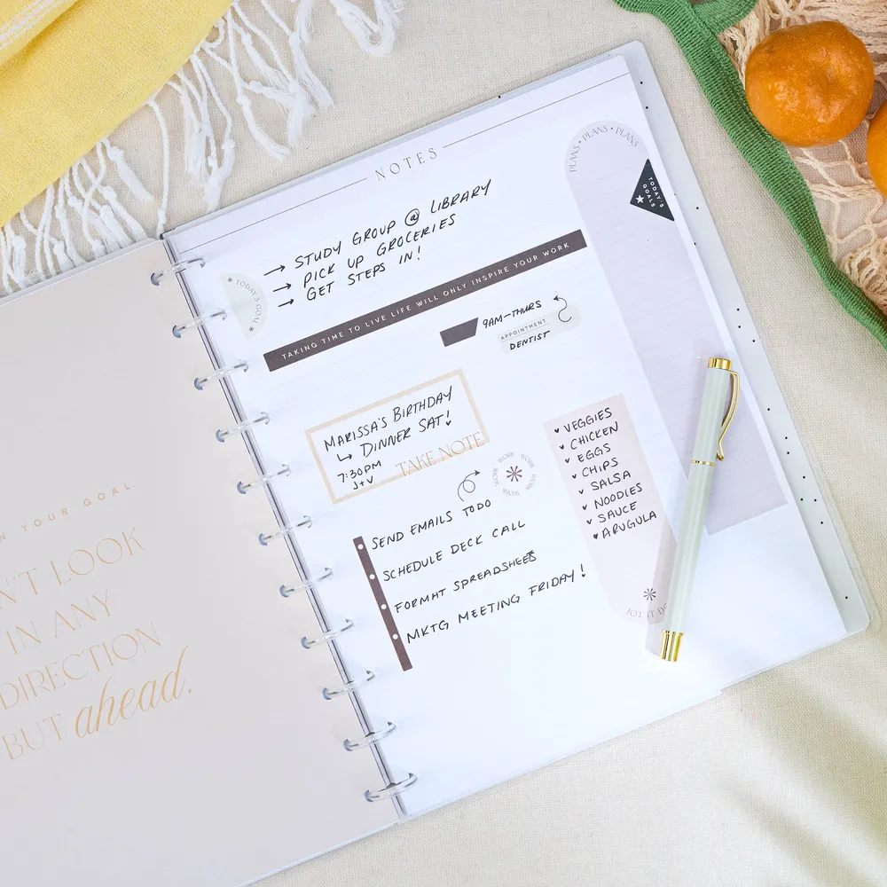Happy Planner Neutral Chic Big recharge 40 feuilles lignée
