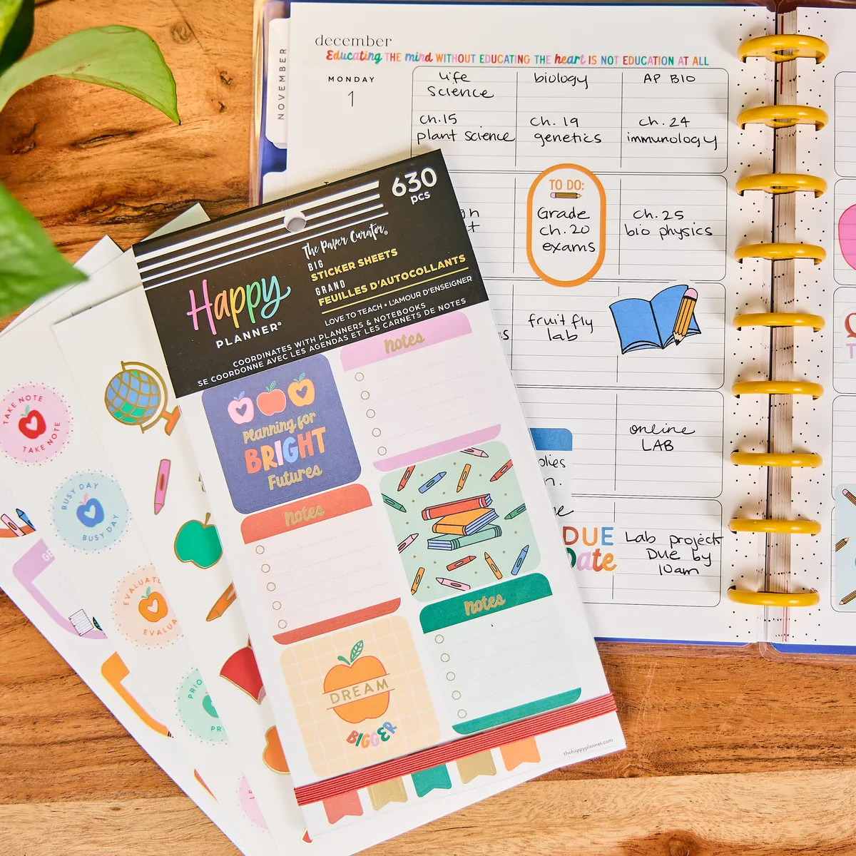 Me & my big ideas Love to Teach Big stickers value pack 630 motifs maîtresse