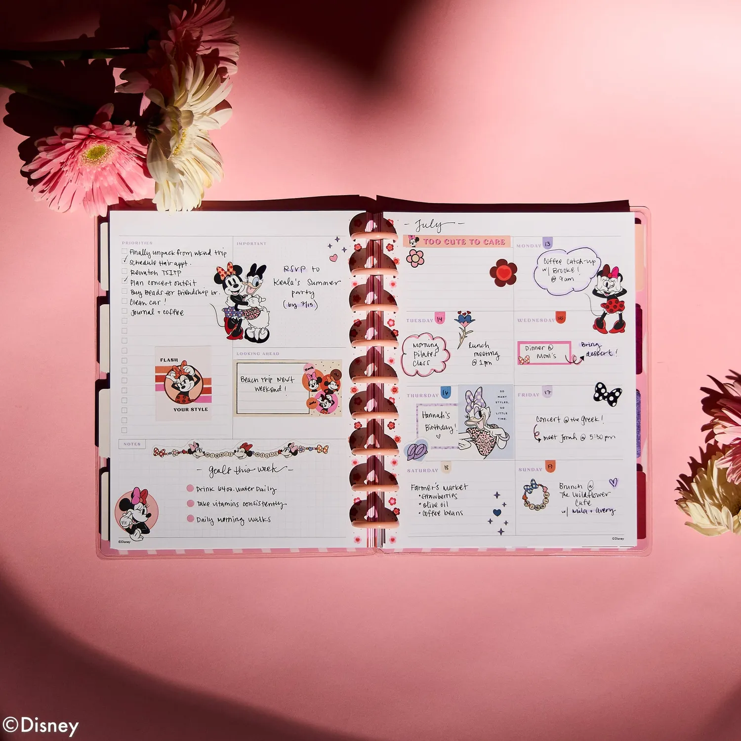 Happy Planner Minnie Mouse agenda Classic non daté dashboard