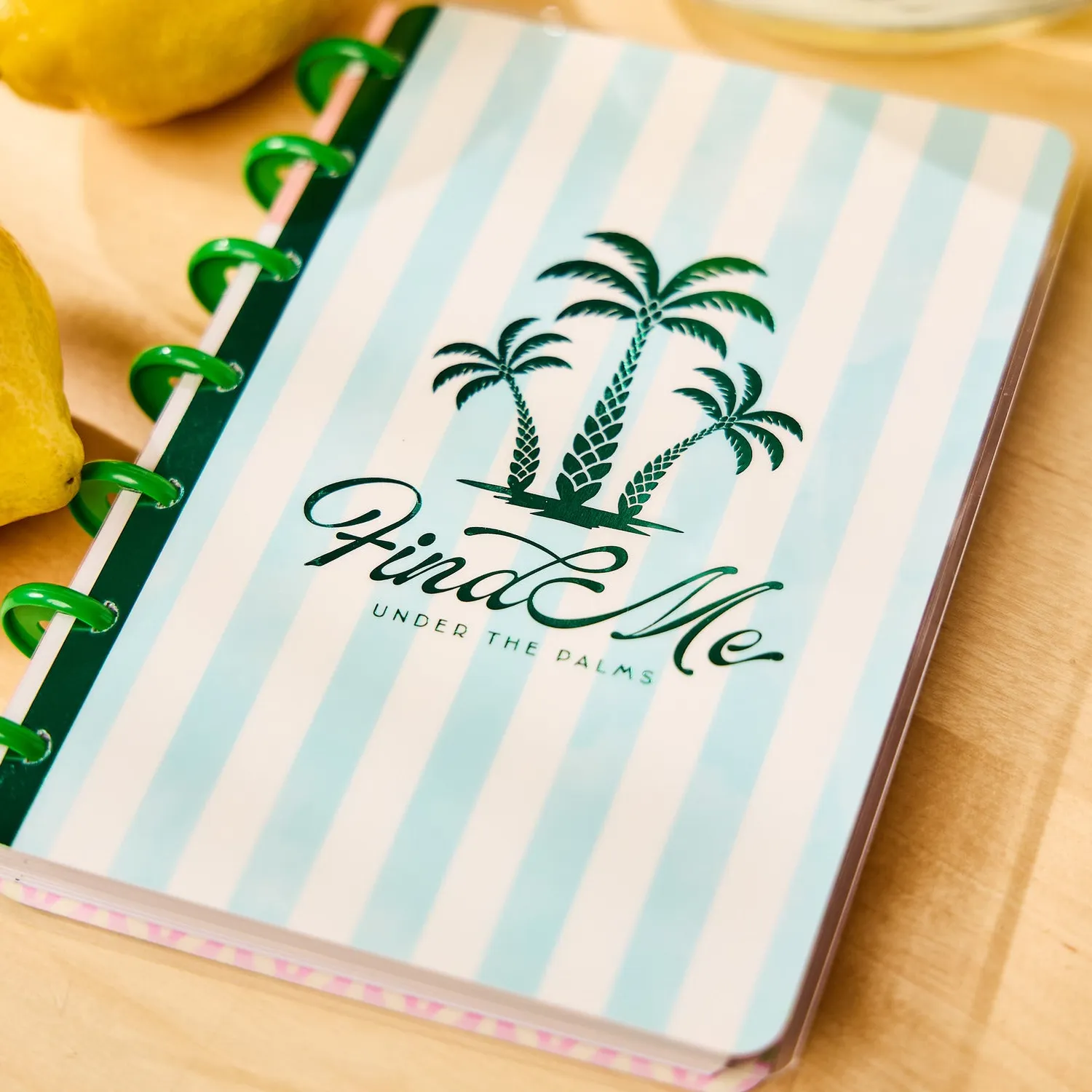 Happy Planner Palm Beach Mini agenda checklist 12 mois