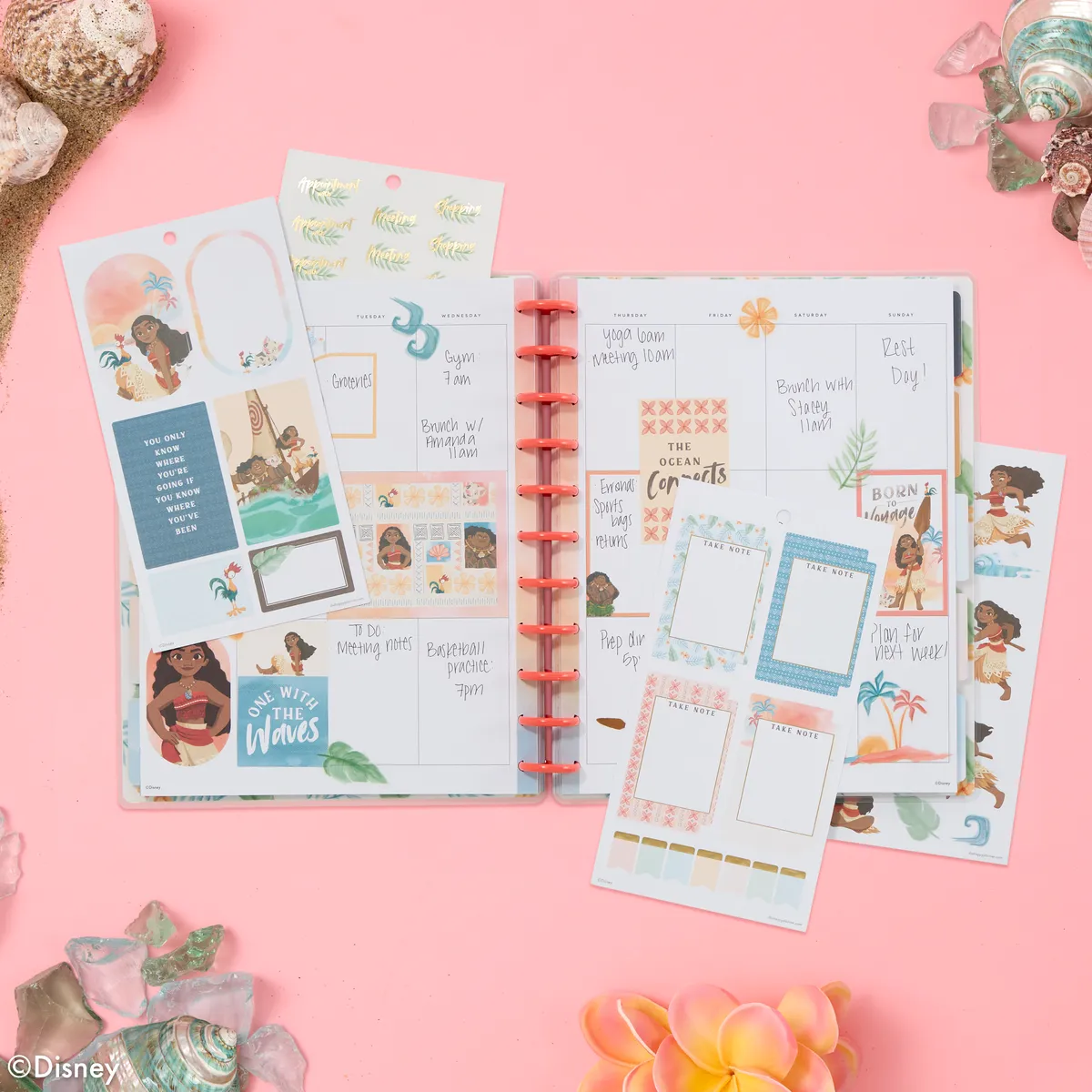 Happy Planner Disney Moana stickers big 335 pièces tropical