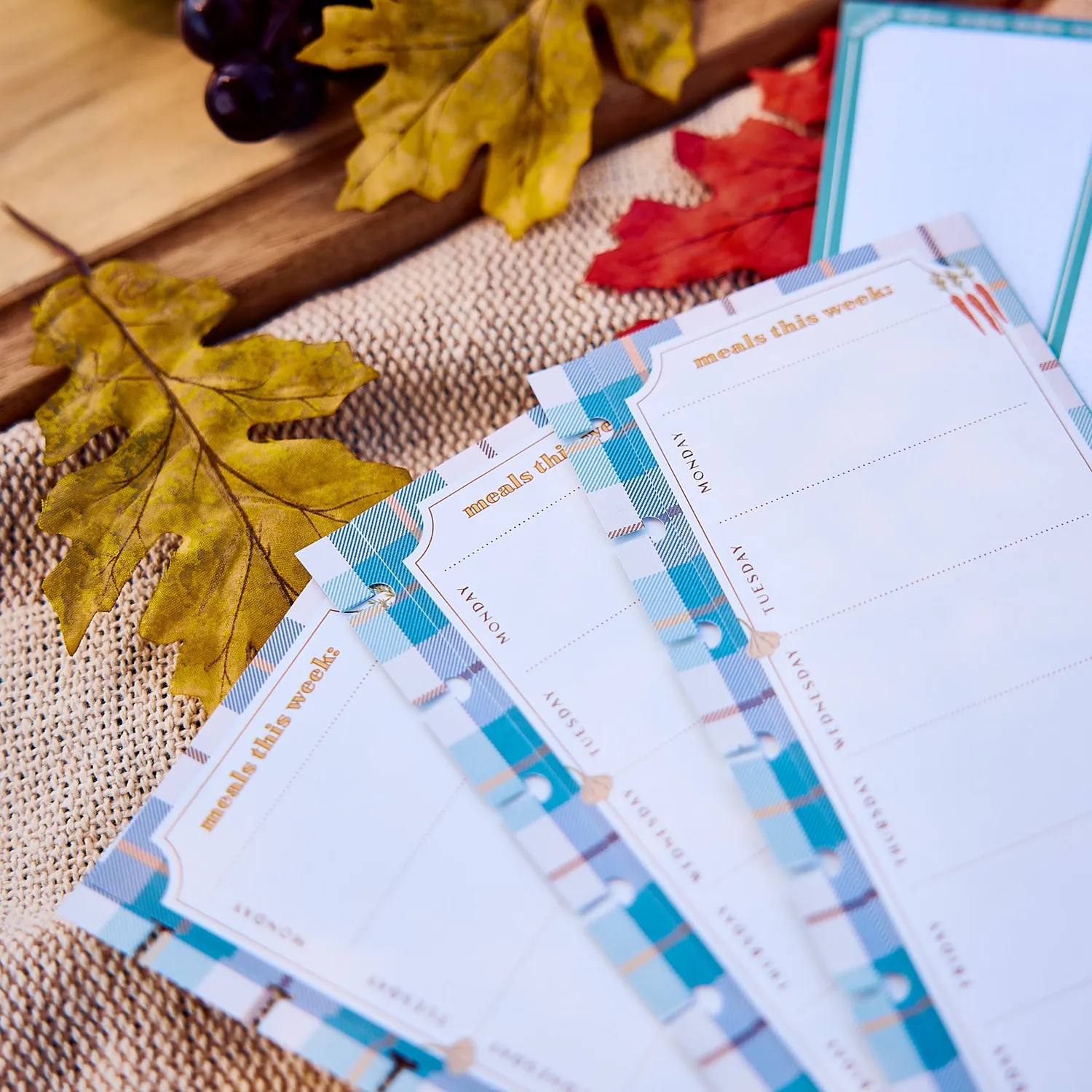 Happy Planner Classic recharge menus courses Fall Picnic 40 feuilles