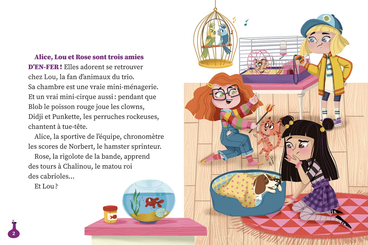 Frigobloc Sorcières d'enfer Abracadabra Tome 1 roman dès 6 ans