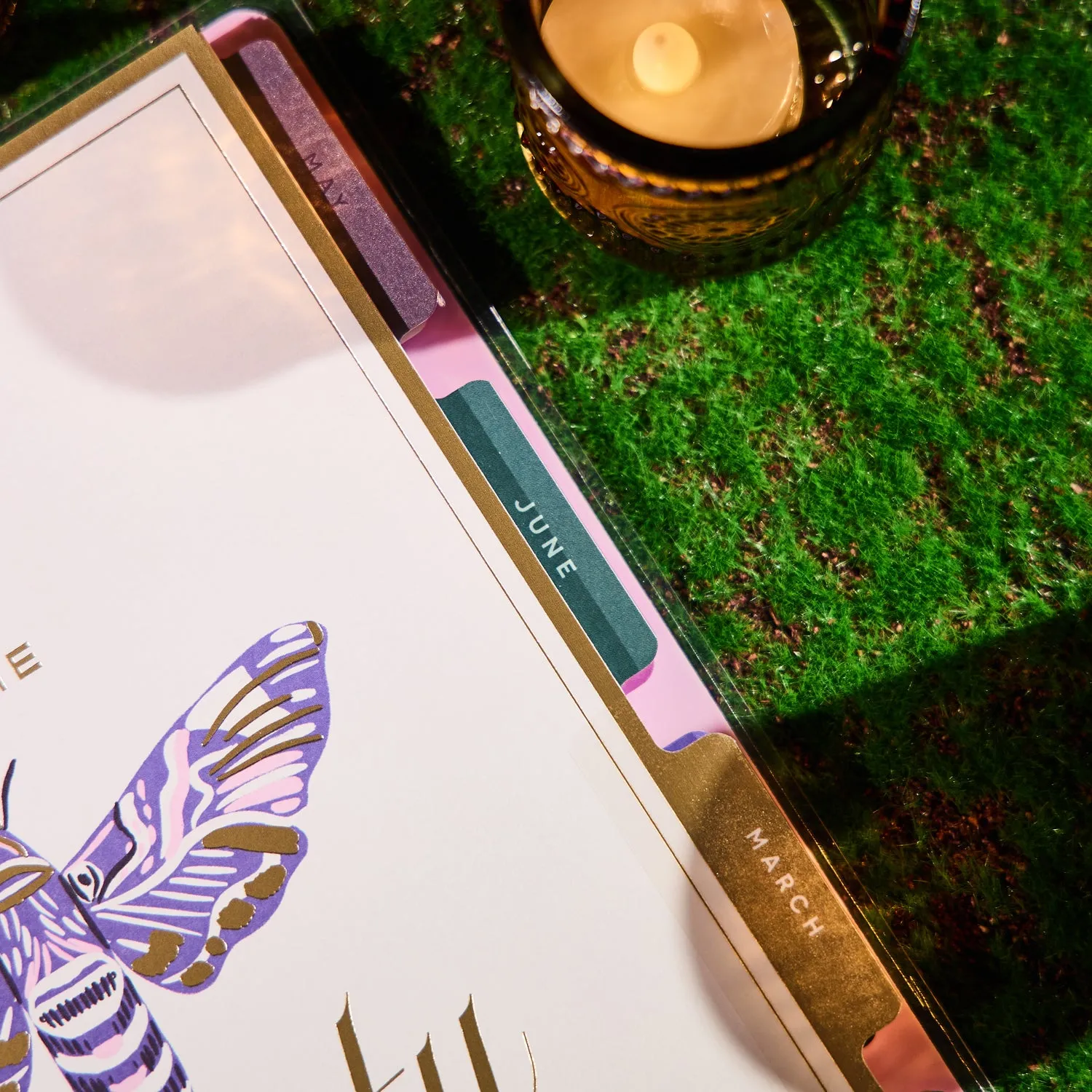 Happy Planner Butterfly Botanics 2026 agenda Classic color block