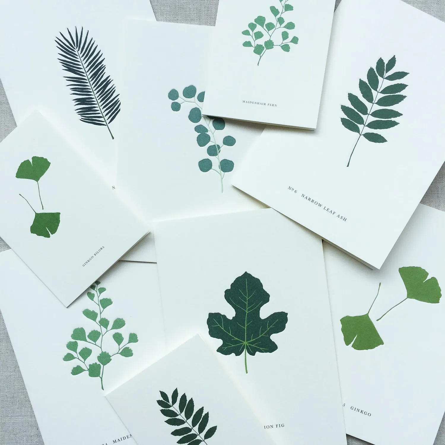 Kartotek Ginkgo Biloba petite carte A7 ginkgo