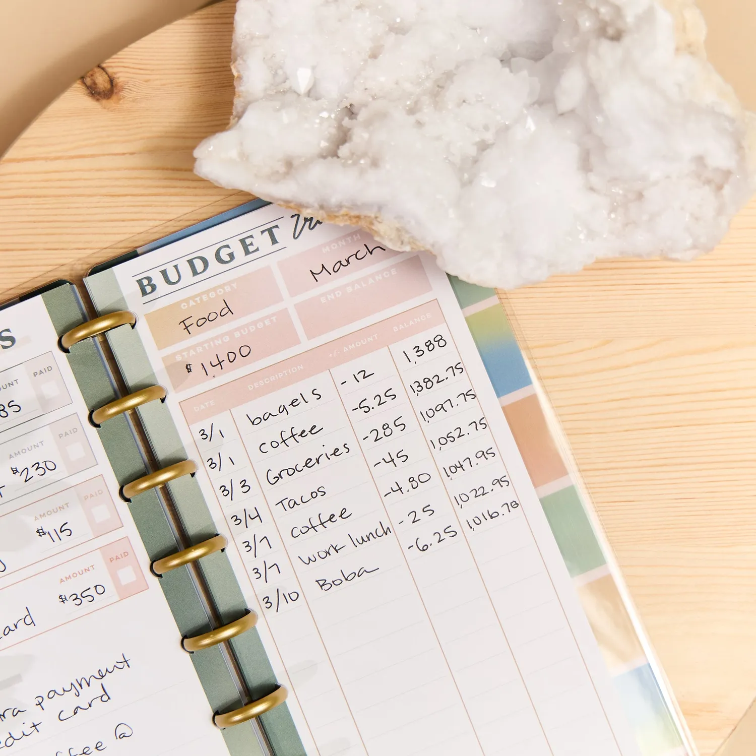 Happy Planner Savvy Budgeter carnet budget Skinny Classic