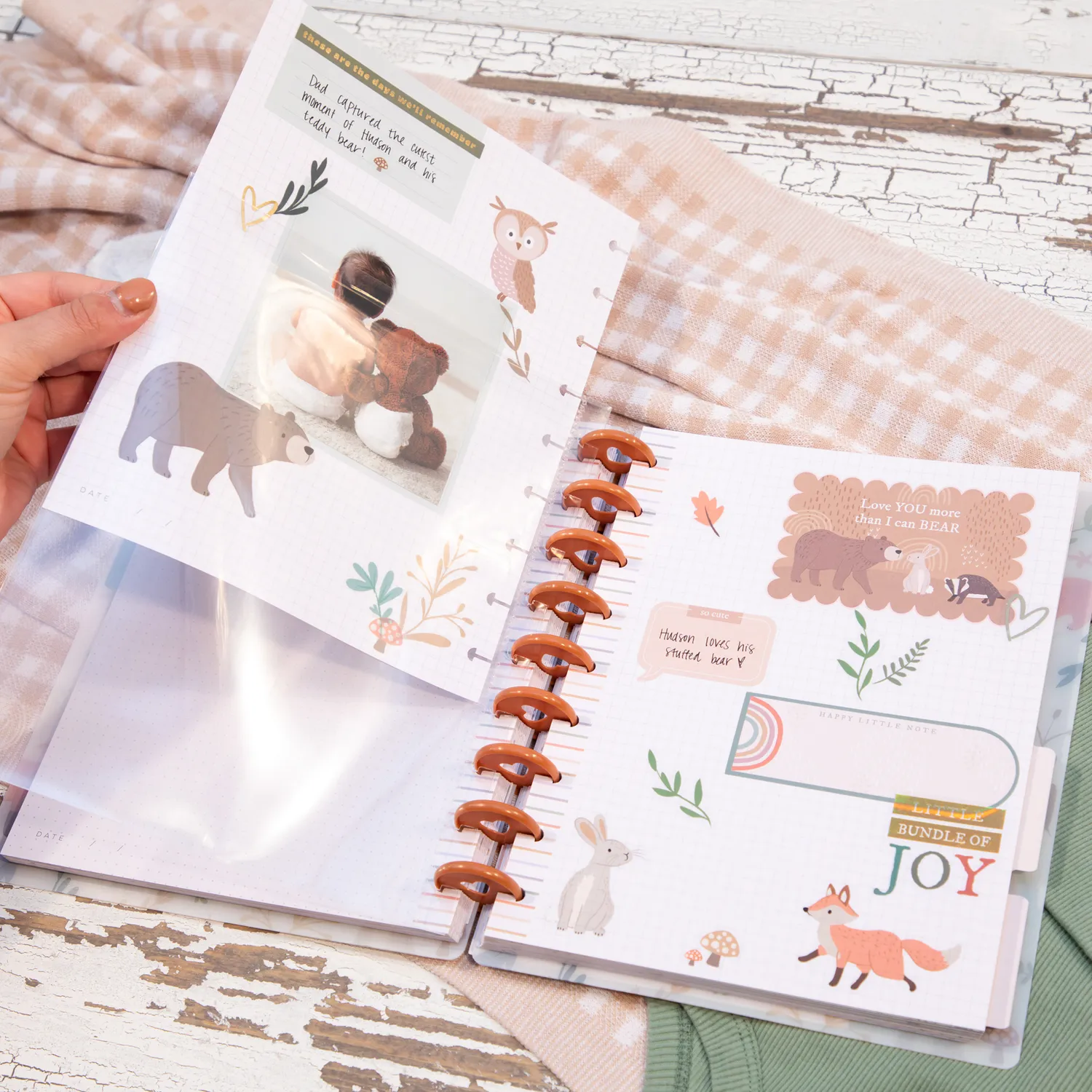 Happy Planner Everyday protège-pages Classic à anneaux x12