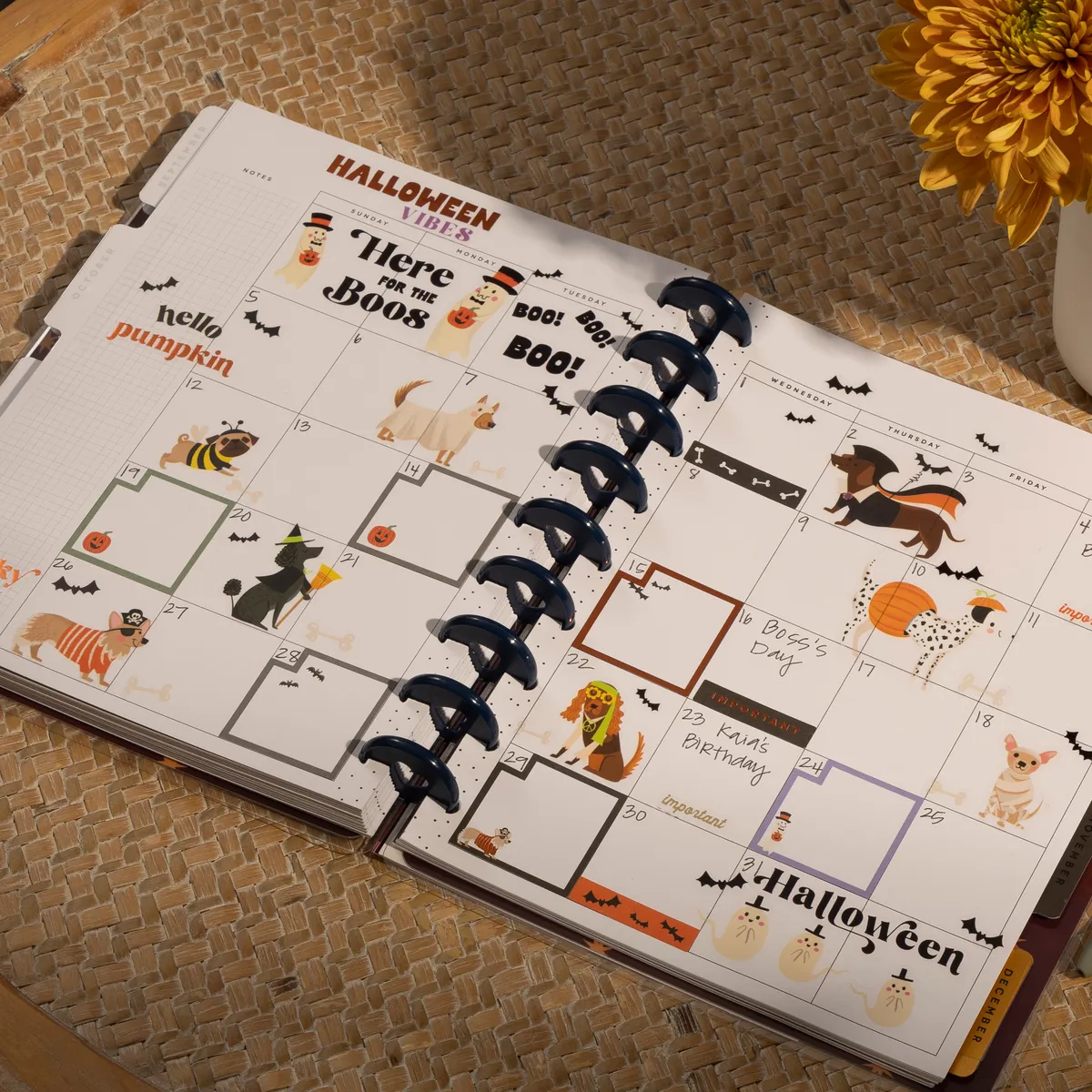 Happy Planner Share Your Magic agenda classic vertical non daté 12 mois