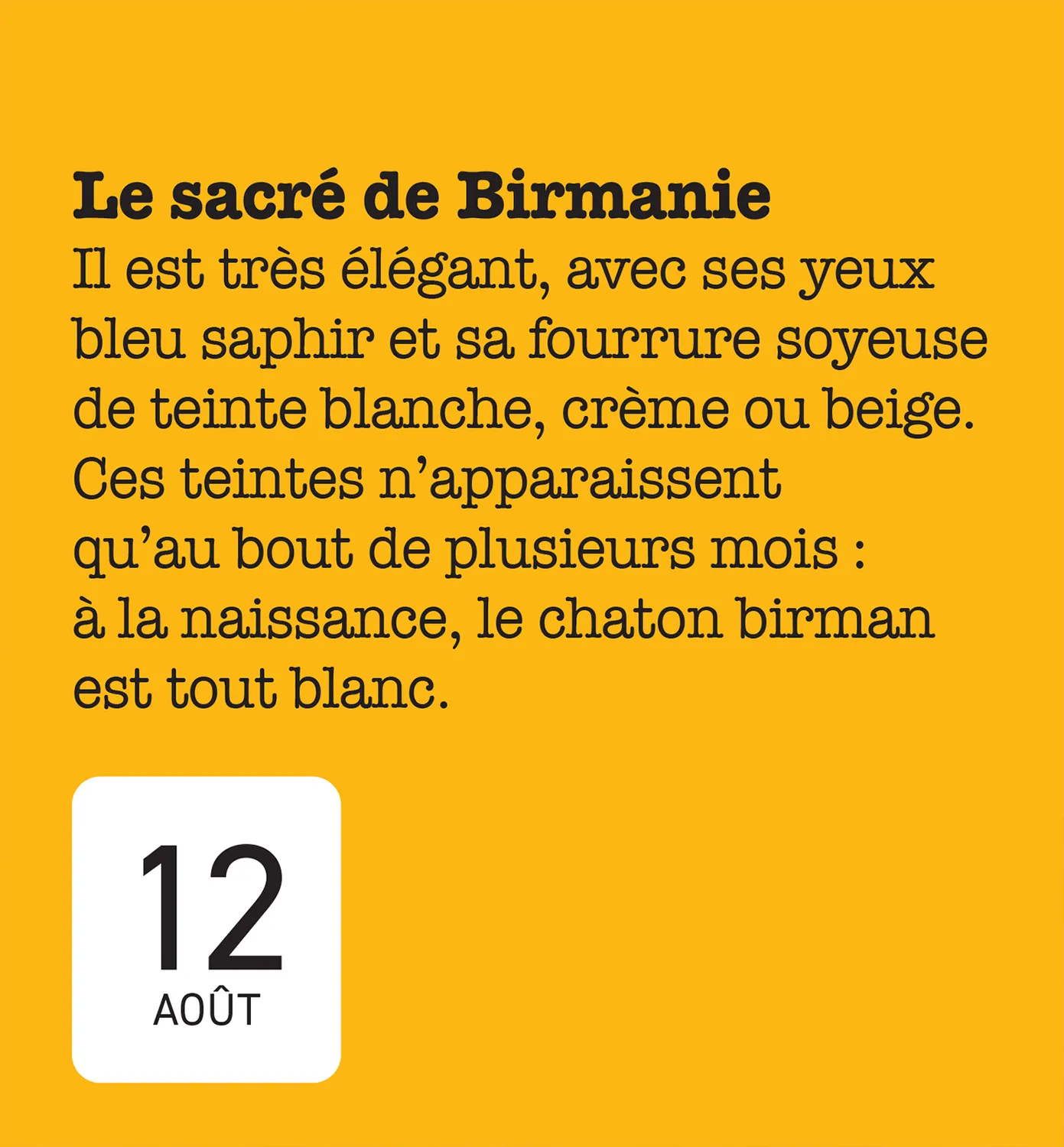 Frigobloc Mini calendrier 365 amours de chats éphéméride