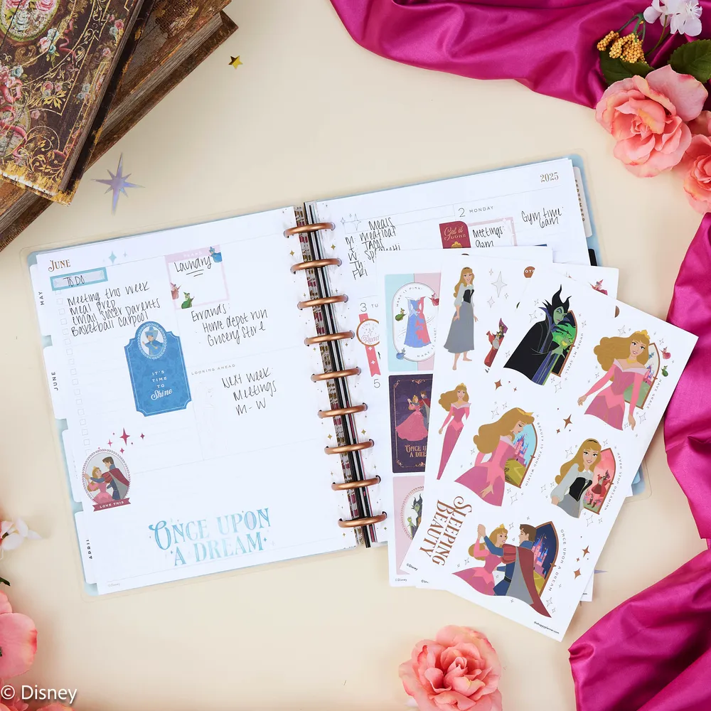 Happy Planner Disney Sleeping Beauty stickers 30 feuilles
