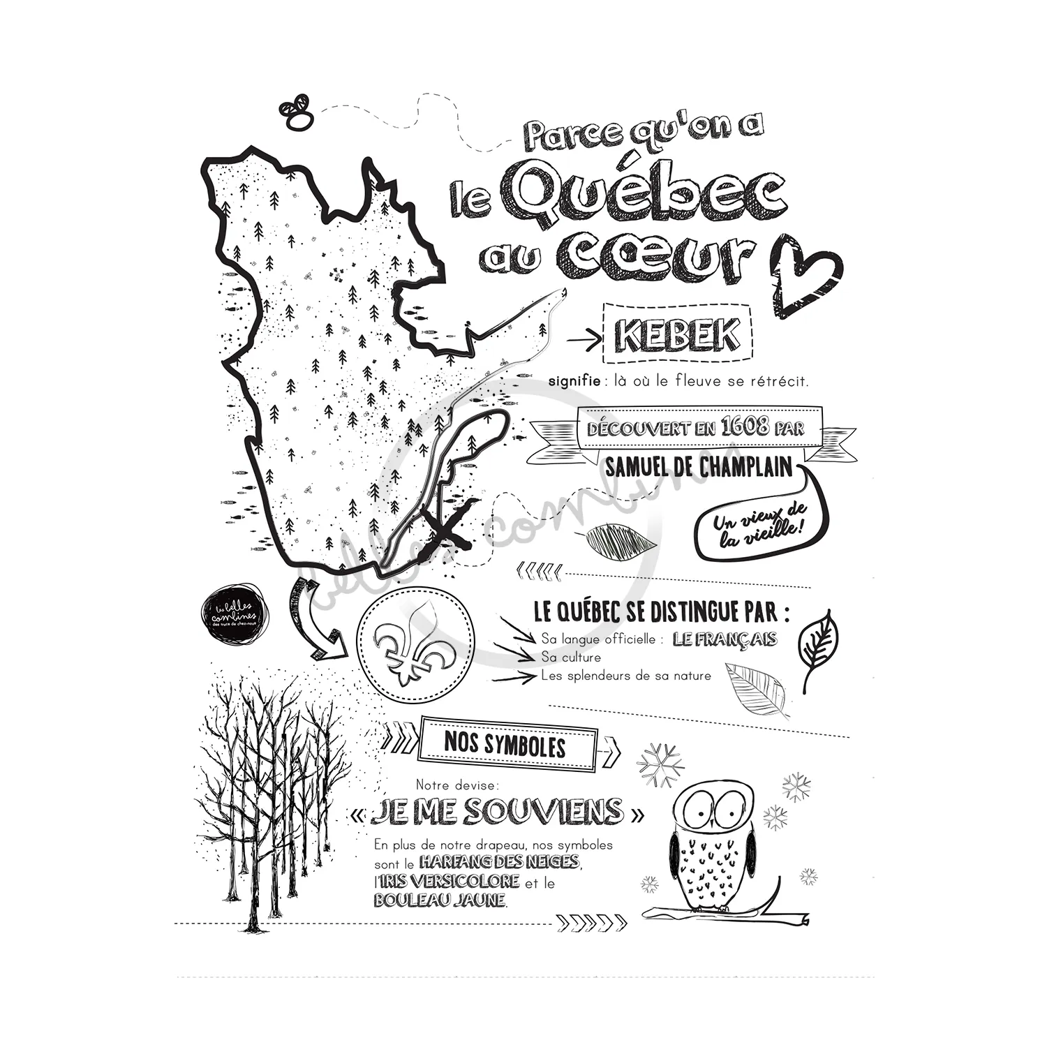 Les Belles Combines Petites Combines Mon petit Québec cahier 14 pages