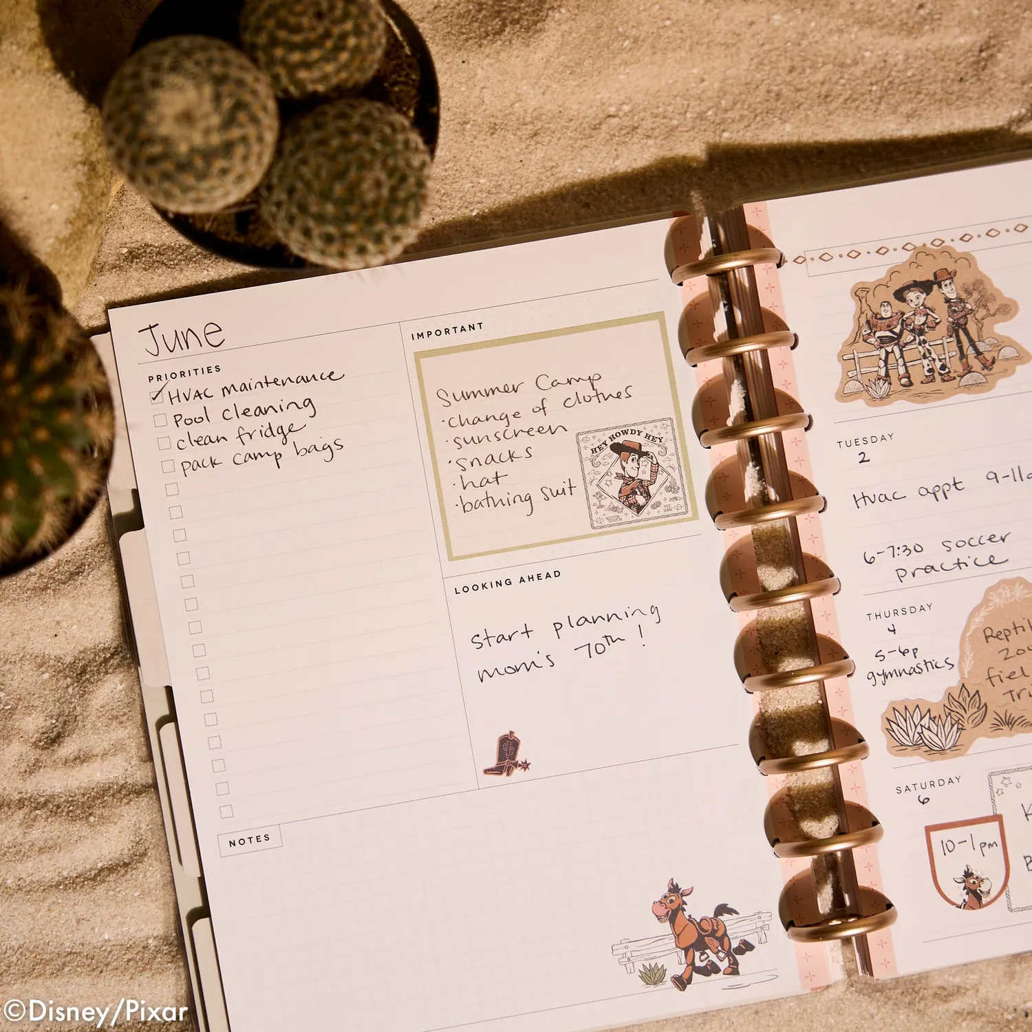 Happy Planner Toy Story Desert Rodeo agenda Classic non daté 12 mois
