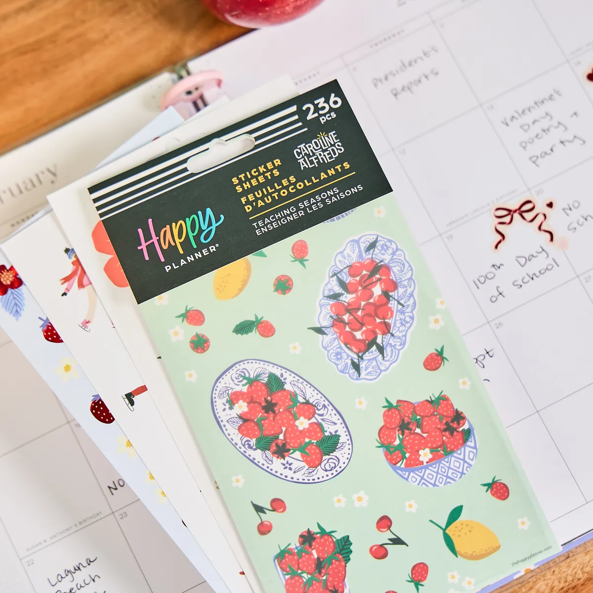 Happy Planner Teaching Seasons stickers 10 feuilles 236