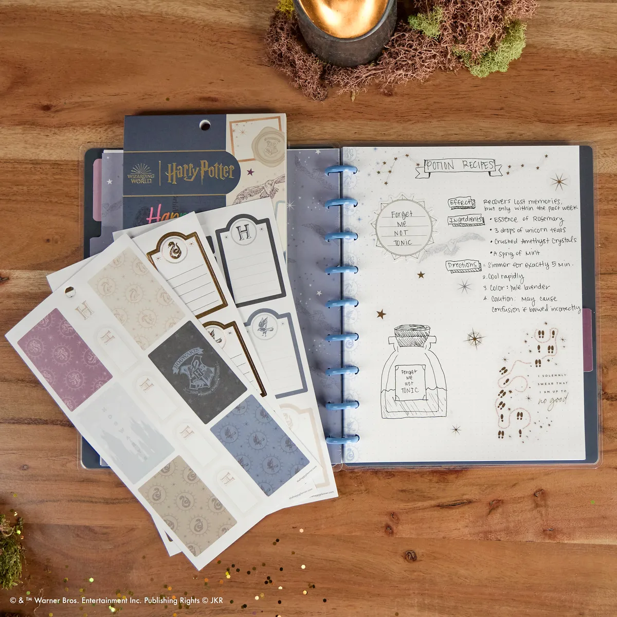 Happy Planner Harry Potter carnet pointillé Classic 60 feuilles