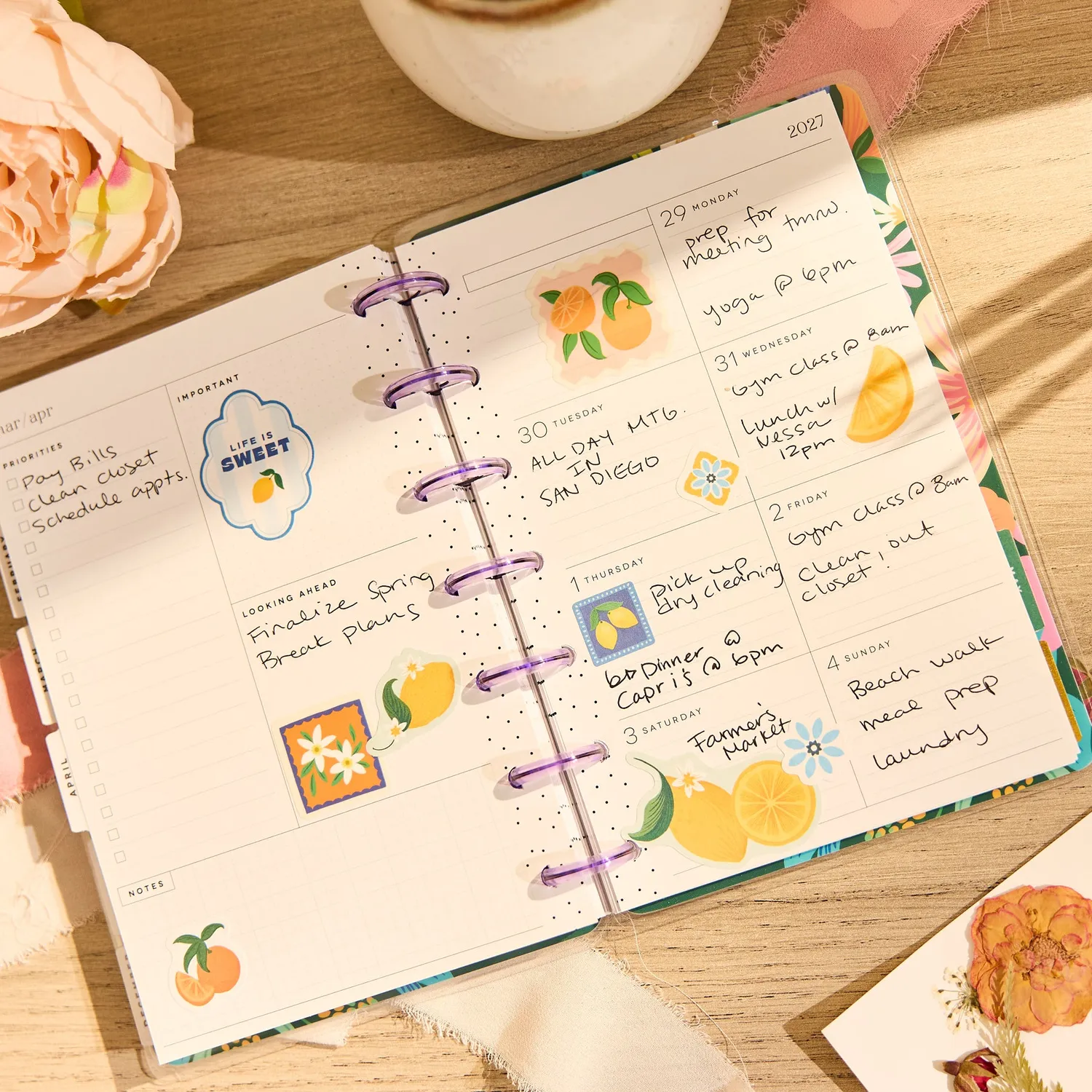 Happy Planner Golden Garden agenda Mini 2026-2027 dashboard