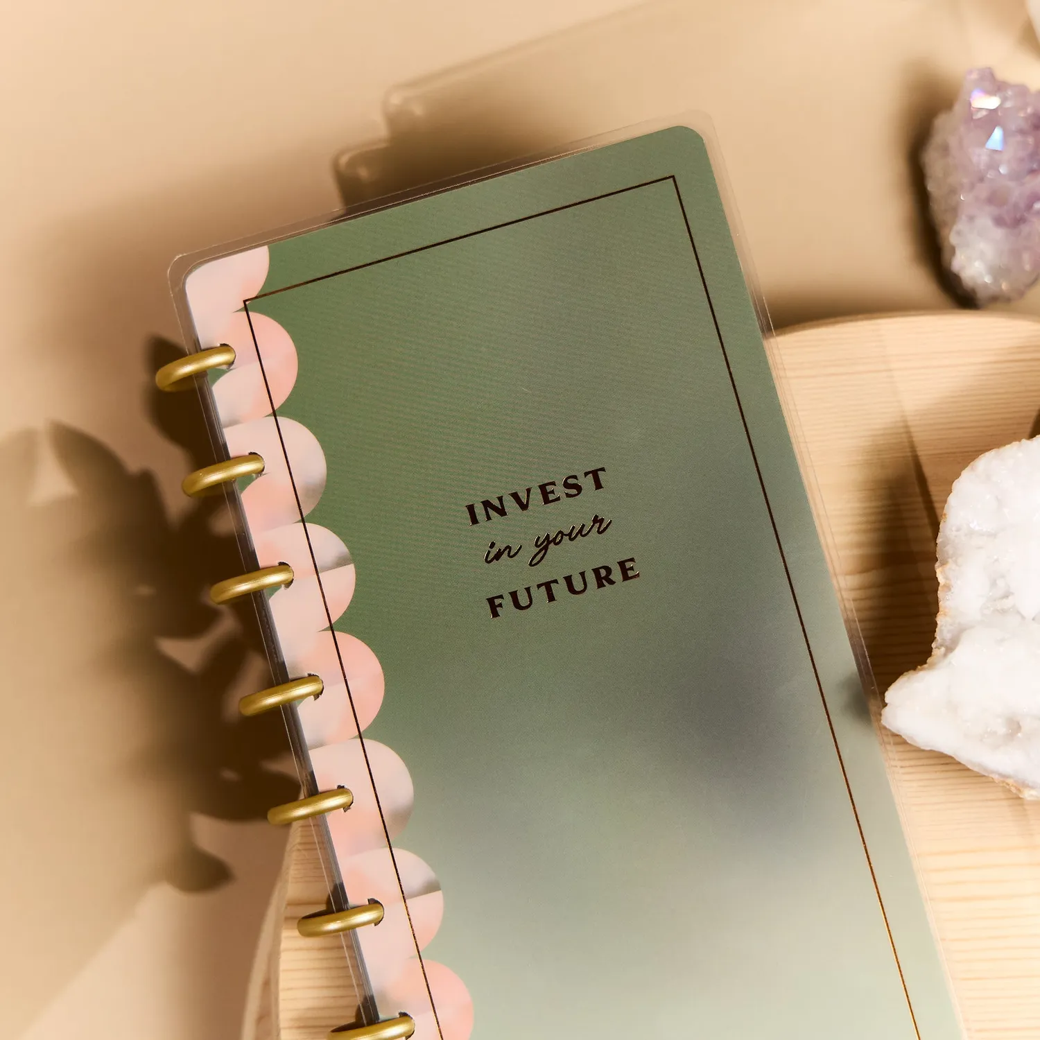 Happy Planner Savvy Budgeter carnet budget Skinny Classic