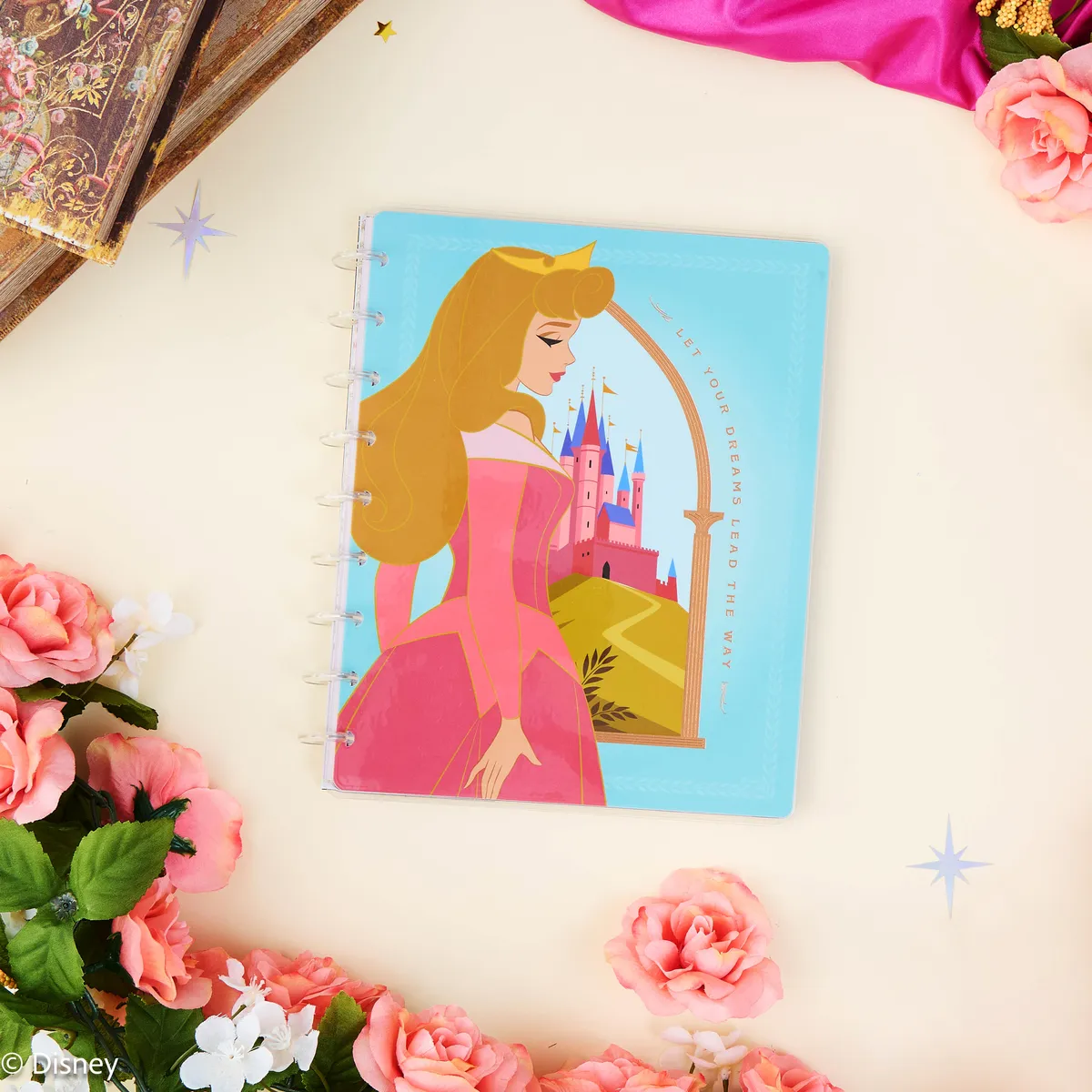 Happy Planner Disney Aurore carnet ligné pointillé classic
