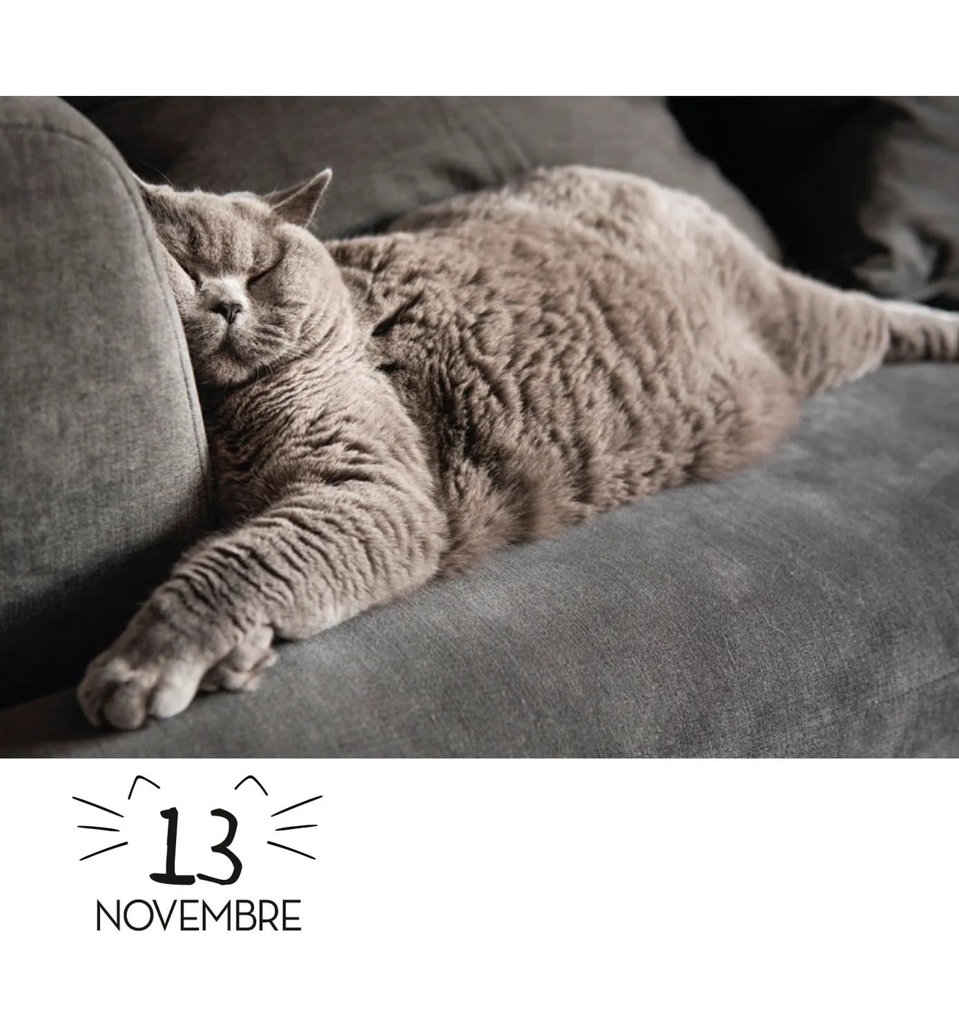 Frigobloc LOL Cats mini calendrier 365 jours chats