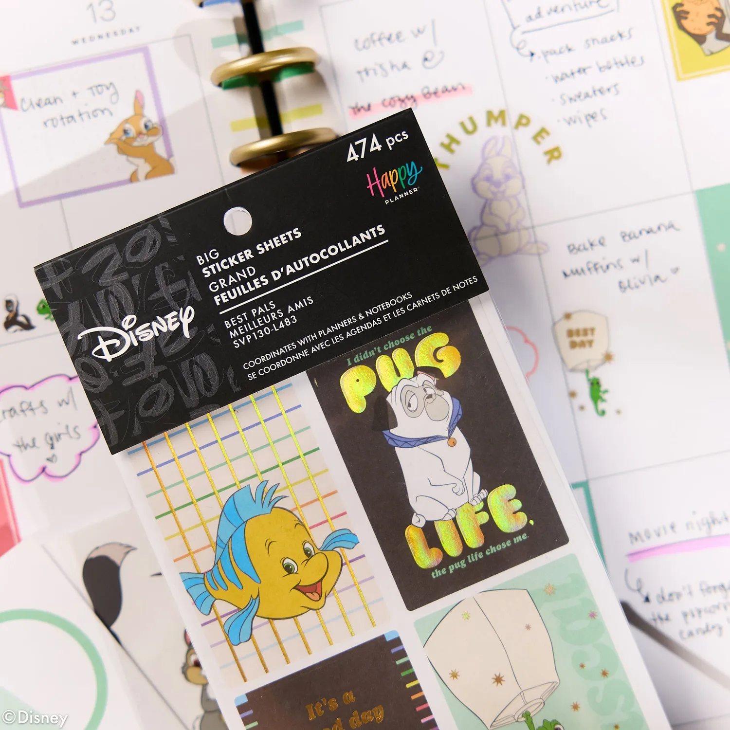 Happy Planner Disney Best Pals stickers Big 30 feuilles