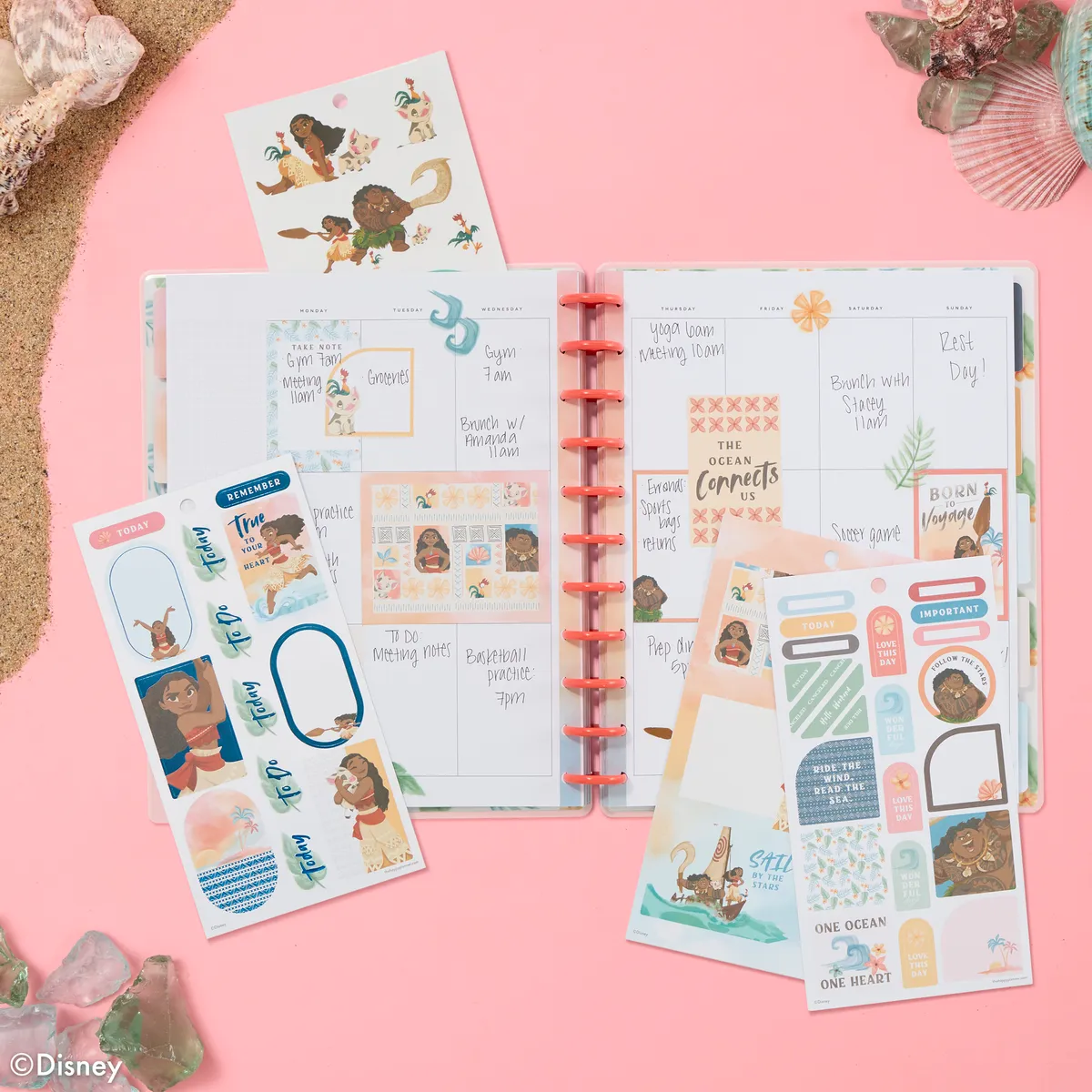 Happy Planner Disney Moana Value Pack stickers 428