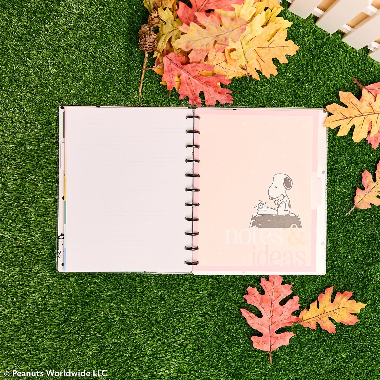Happy Planner Peanuts Snoopy carnet disques Big 60 feuilles