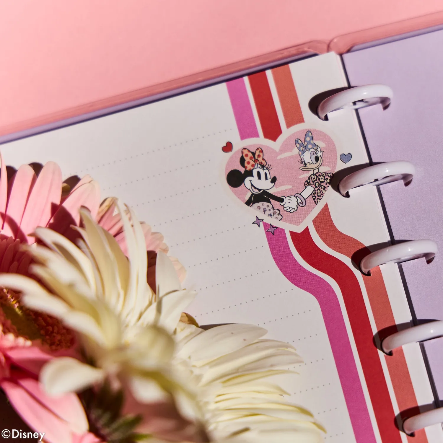 Me & my big ideas Minnie Mouse Bow Happy Classic carnet pointillé 60 feuilles