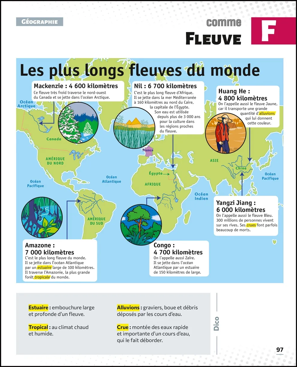 Le Petit Quotidien encyclopédie visuelle livre enfant infographies