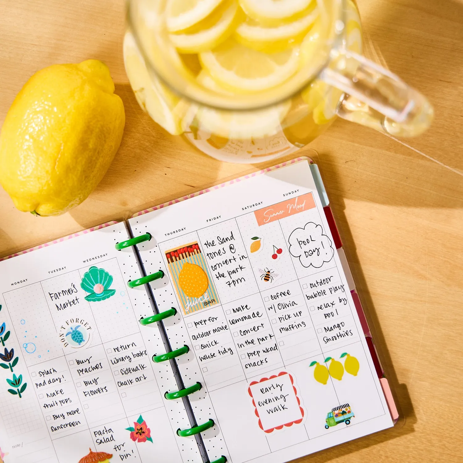 Happy Planner Palm Beach Mini agenda checklist 12 mois
