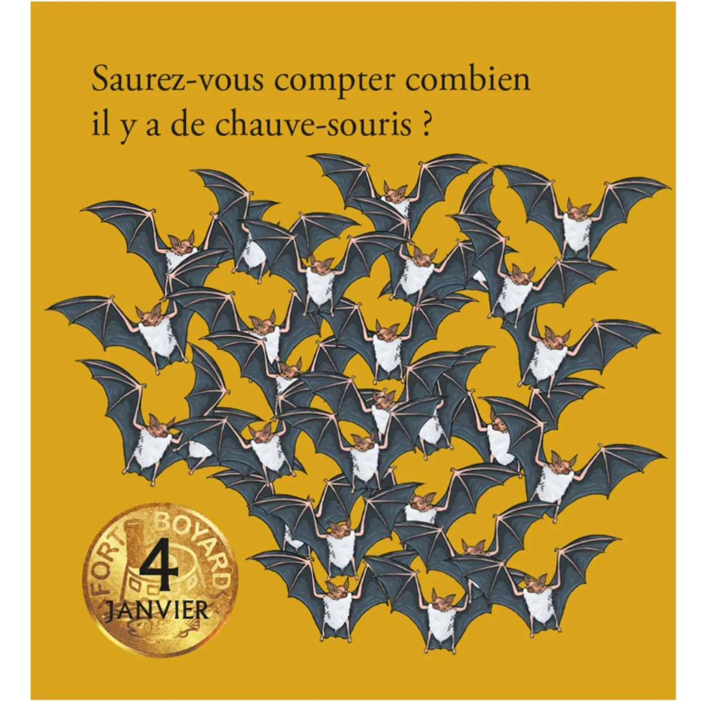 Fort Boyard Mini Calendrier 365 quiz et énigmes