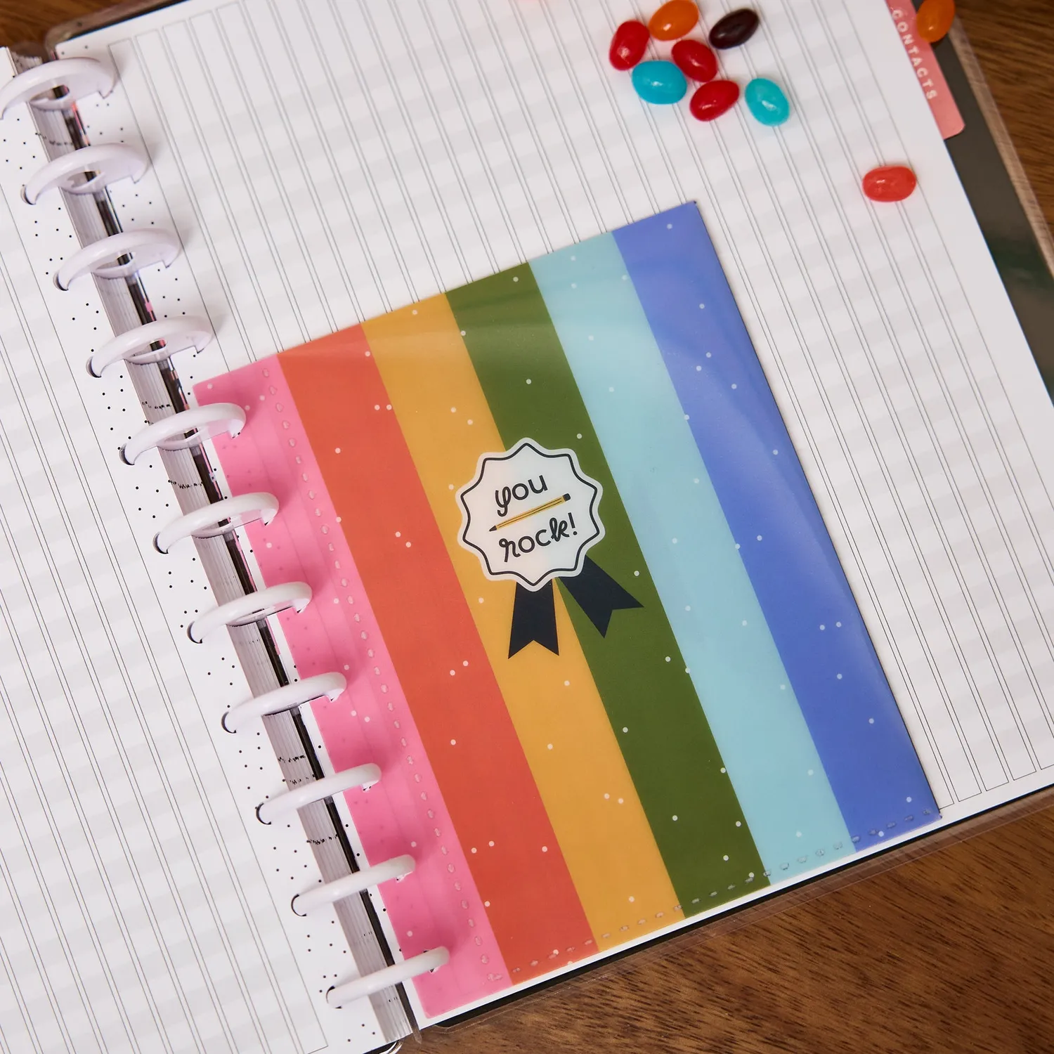 Happy Planner School Doodles Big pochette infos élèves
