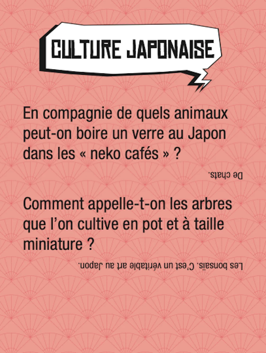 Boîte Quiz Manga jeu quiz 300 questions manga