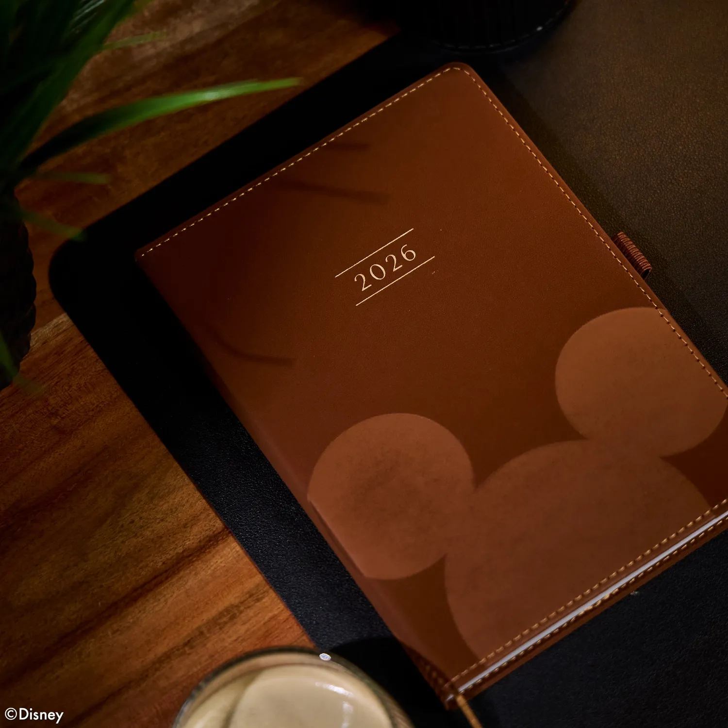 Happy Planner Disney Mickey agenda non daté Small Espresso 12 mois
