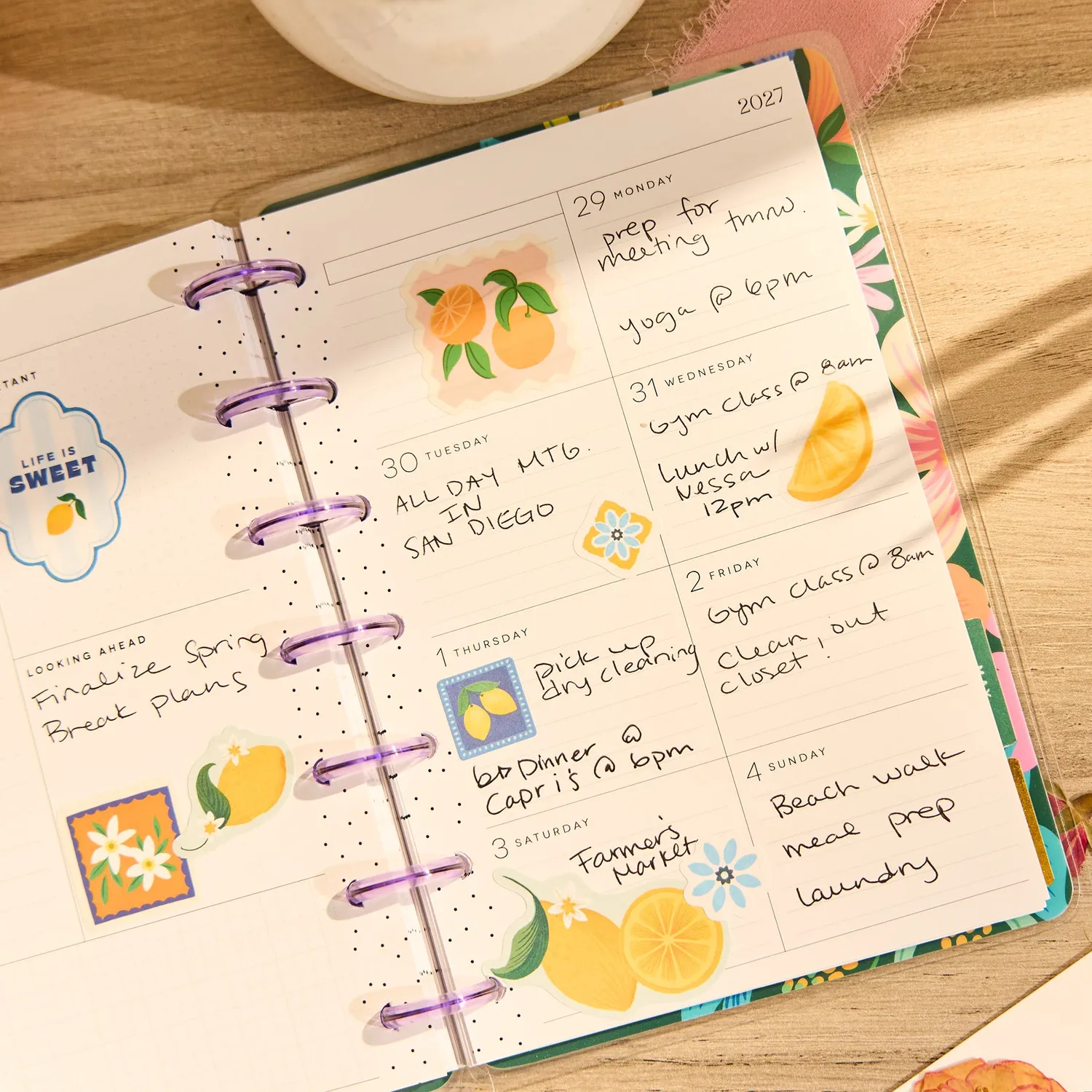 Happy Planner Golden Garden agenda Mini 2026-2027 dashboard