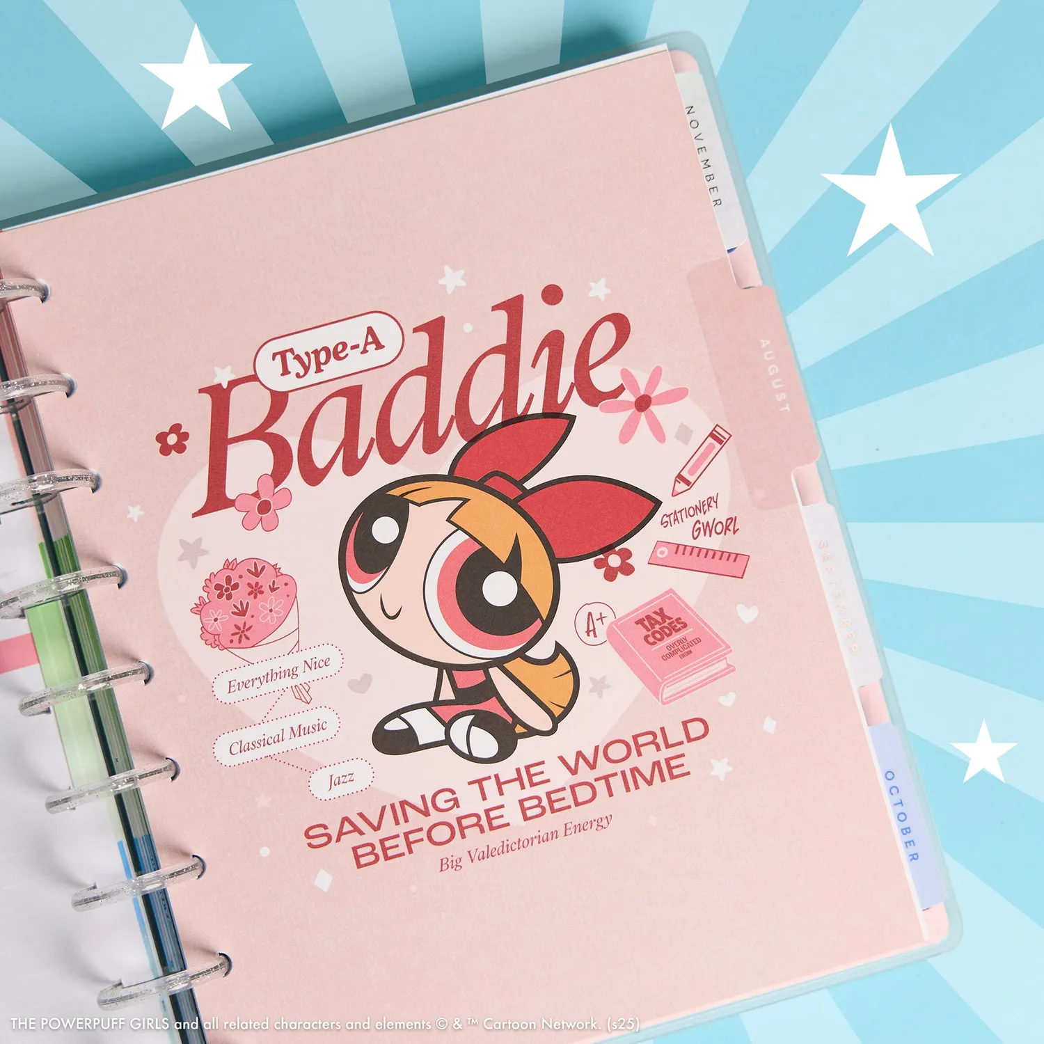 Happy Planner Powerpuff Girls 2026-2027 agenda Classic dashboard 12 mois
