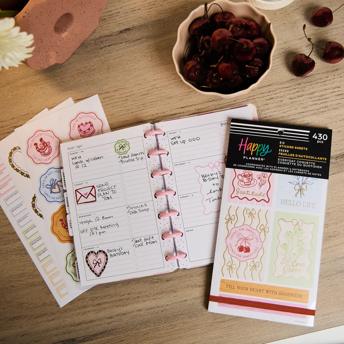 Happy Planner Everyday Coquette stickers Big 430 pièces