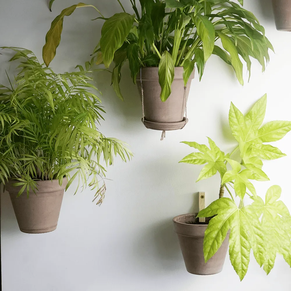 My365 Support pour plante porte-pot intérieur
