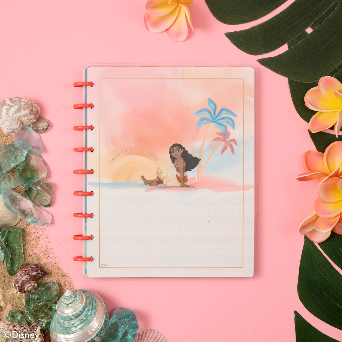 Happy Planner Disney Moana carnet pointillé ligné Classic 60 feuilles