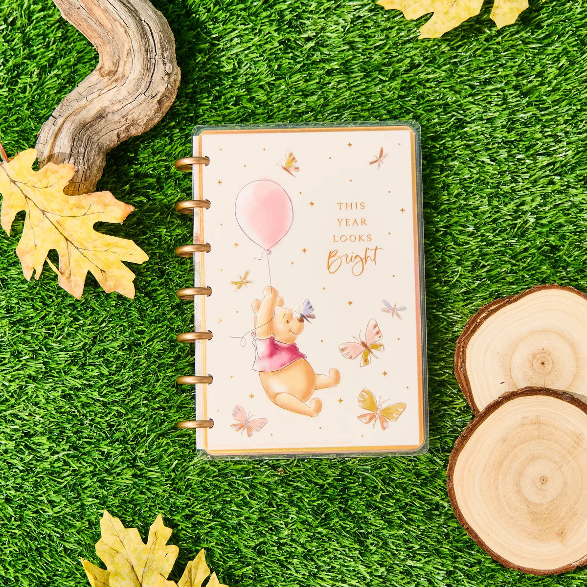 Happy Planner Winnie Ourson Mini agenda 2026 vertical