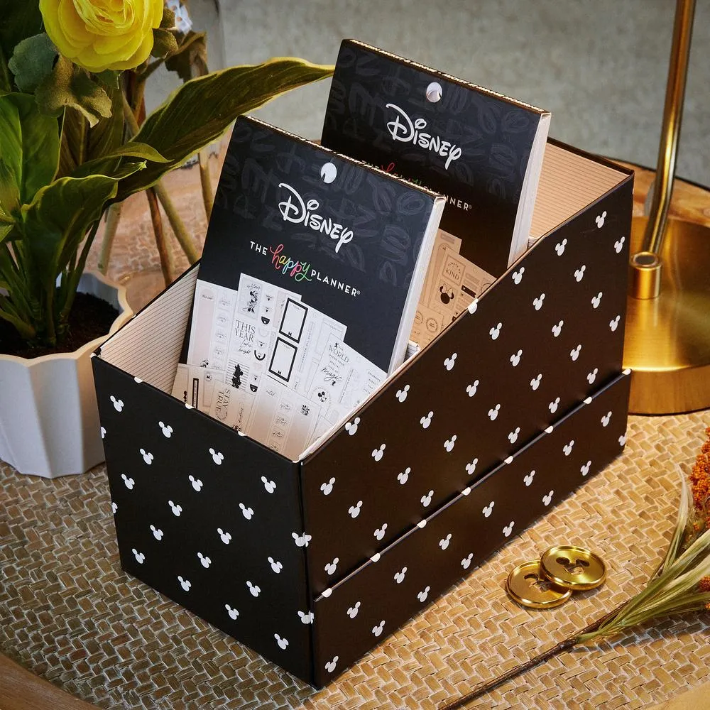 Happy Planner Disney Mickey Minnie boîte rangement stickers