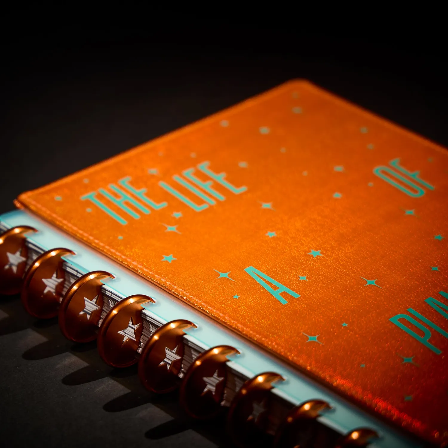 Me & my big ideas Planner Girl Deluxe Cover Disc Set couverture classic