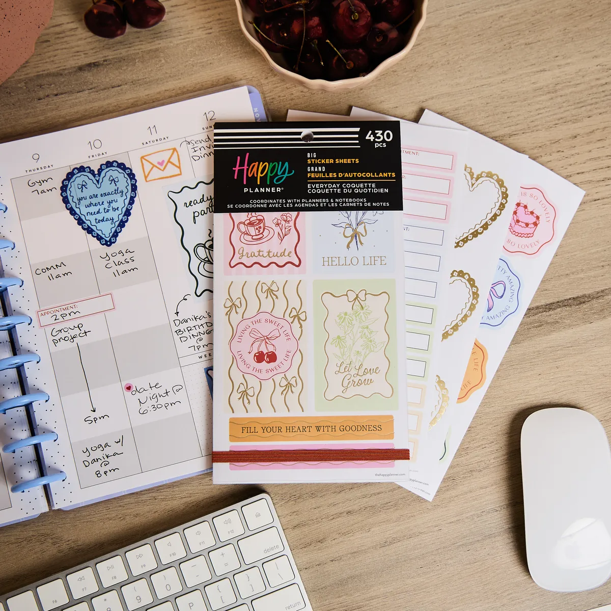 Happy Planner Everyday Coquette stickers Big 430 pièces