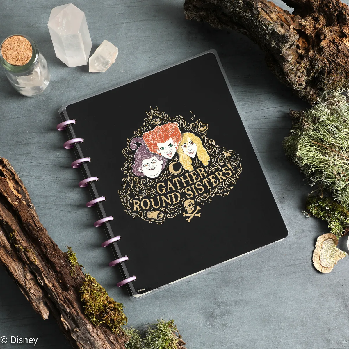 Happy Planner Hocus Pocus carnet à disques ligné pointillé